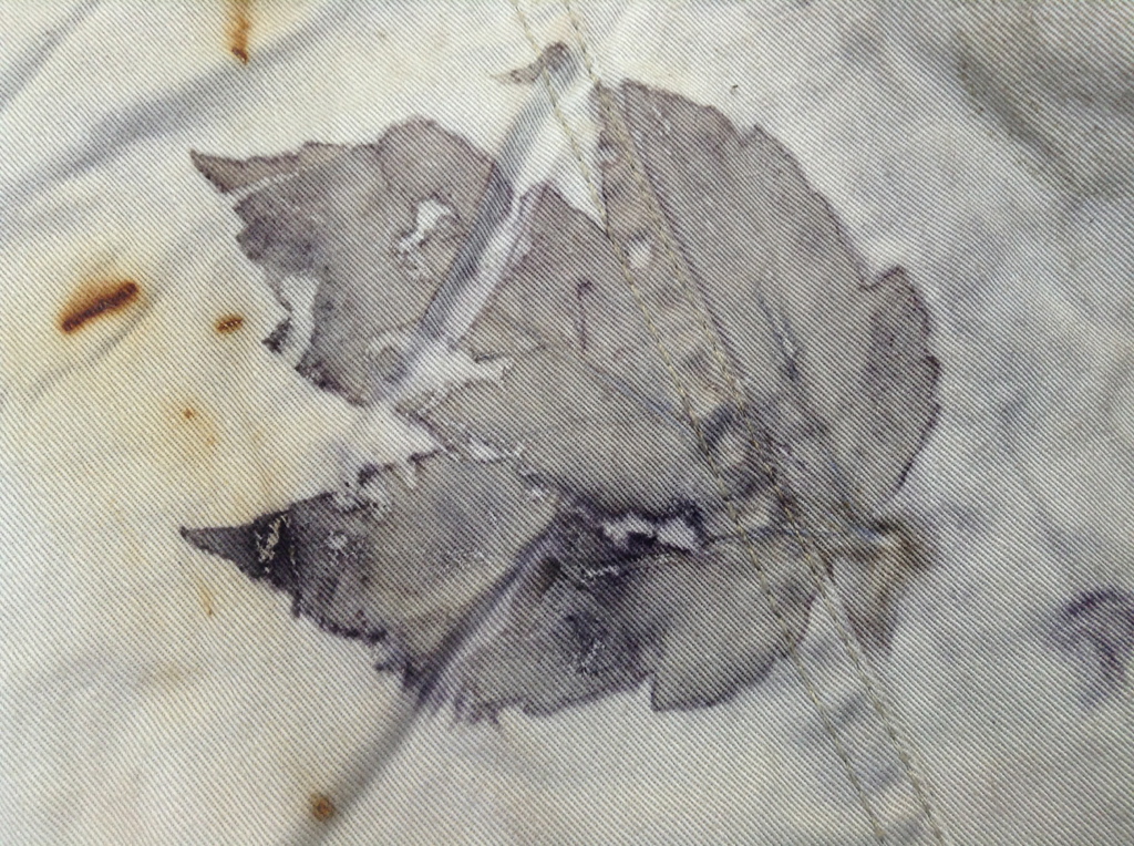 maple leaf, iron bath